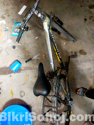 বাইসাইকেল